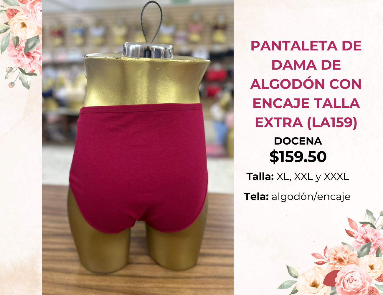 PANTALETA DE DAMA DE ALGODÓN CON ENCAJE TALLA EXTRA (LA159)